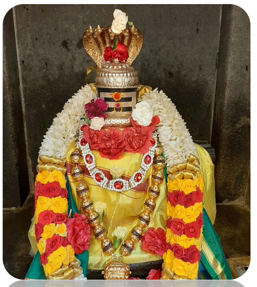 Thurs 12th Oct Pradosham